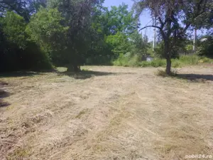 Vind loc casă în comuna Copăceni Satu Bălteni la strada principală 40 de ari cu cadastru făcut - imagine 6