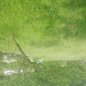 Vând teren intravilan și extravilan în Vișeu de Sus (orașul Mocăniței). 60 de arii.