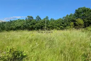 Teren intravilan de vanzare  in Luncoiu de Jos, sat Luncoiu de Sus, 3000 mp - imagine 2