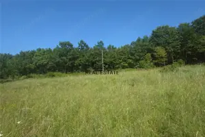 Teren intravilan de vanzare  in Luncoiu de Jos, sat Luncoiu de Sus, 3000 mp - imagine 9