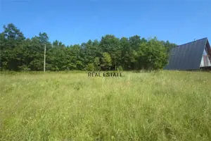 Teren intravilan de vanzare  in Luncoiu de Jos, sat Luncoiu de Sus, 3000 mp - imagine 4