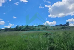 De vanzare 4 parcele de teren intravilan in Sannicoara, comuna Apahida! - imagine 2