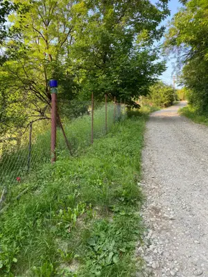 Teren + construcții de vânzare în Blahnița de Sus, com. Săcelu, jud. Gorj   5.086 mp - imagine 3