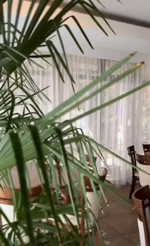 Angajam OSPATARI - Hotel Holiday Maria Baile Herculane - imagine 4