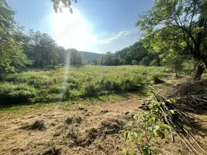 Teren + construcții de vânzare în Blahnița de Sus, com. Săcelu, jud. Gorj   5.086 mp - imagine 4