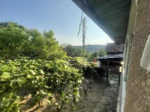 Teren + construcții de vânzare în Blahnița de Sus, com. Săcelu, jud. Gorj   5.086 mp - imagine 5