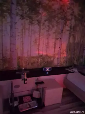 Regim hotelier!!! - imagine 5 Regim hotelier!!! - imagine 5