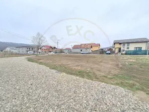 Teren 500-800 mp Braileni-Valea Ursului parcelabil - imagine 3