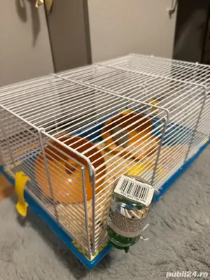 Vand cutie hamster hamster - imagine 5