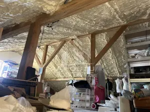 Duplex pe parter, cu 3 camere, in Sanandrei - imagine 9