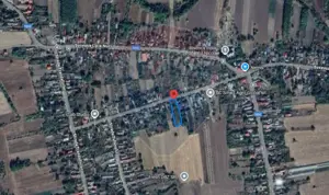 Teren 5482 mp Gruiu / Strada Matei Basarab - imagine 3