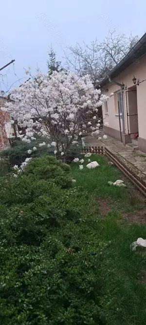 Casa de vanzare - imagine 8