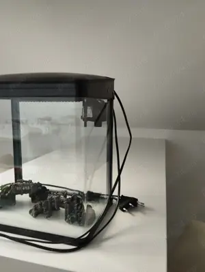 Acvariu pesti, Cluj Napoca,200 ron - imagine 2