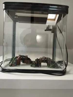 Acvariu pesti, Cluj Napoca,200 ron - imagine 3