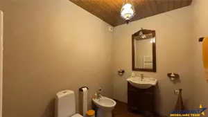 FILM: Casa scandinav minimalist, echipata, garaj incalzit,pod, Santana de Mures - imagine 9