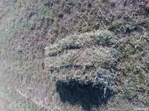 vând baloți de lucernă si usturoi de primăvară  - imagine 2