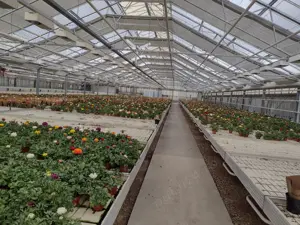 Caut loc de muncă în domeniu agricol. 