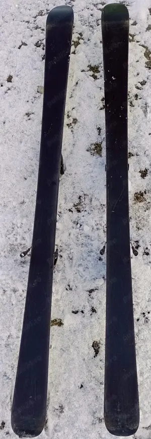 vand schiuri fischer - imagine 4