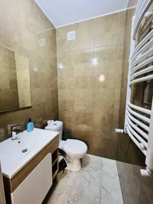 apartament cu 2 camere de inchiriat zona Aradului - imagine 3 apartament cu 2 camere de inchiriat zona Aradului - imagine 3