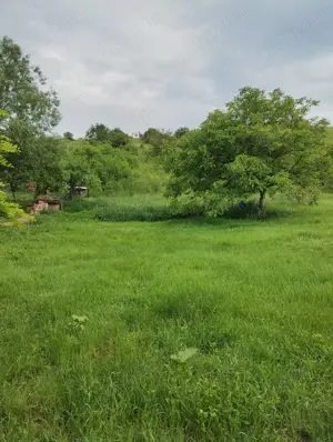 Vând teren in Cojocna,judetul Cluj - imagine 2