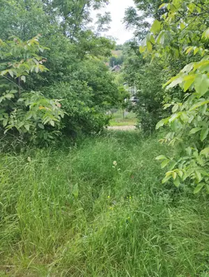 Vând teren in Cojocna,judetul Cluj - imagine 3