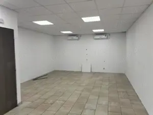 Birouri si spatii de inchiriat in THEODOR PALLADY 40