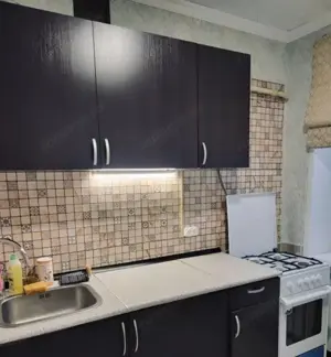 Inchiriere apartament cu o camera in zona Sagului - imagine 4