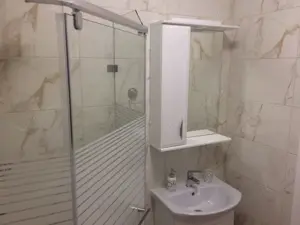 De inchiriat apartament 1 camera in zona Torontalului - imagine 5