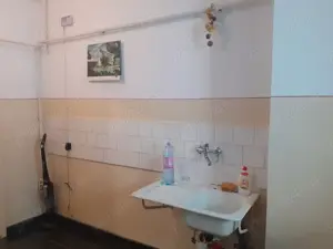 Vanzare Apartament 1 cam. cf.1 dec., parter cu balcon, suprafata totala 44.mp., Bld. Dorobantilor    - imagine 18