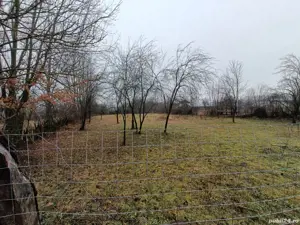 teren Brebu 1250 mp - imagine 5