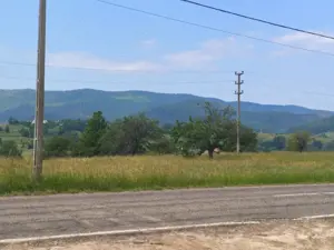 Casa+teren 5000mp, 70ml la DN 2E, zona Cacica, Radauti - imagine 6