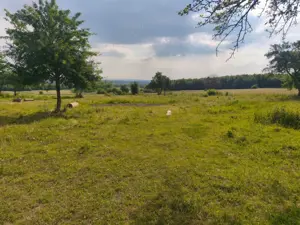 Casa+teren 5000mp, 70ml la DN 2E, zona Cacica, Radauti - imagine 9