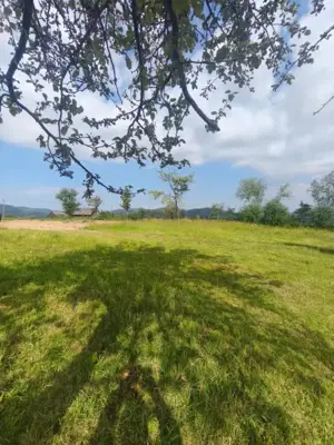 Casa+teren 5000mp, 70ml la DN 2E, zona Cacica, Radauti - imagine 10