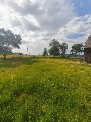 Casa+teren 5000mp, 70ml la DN 2E, zona Cacica, Radauti - imagine 12