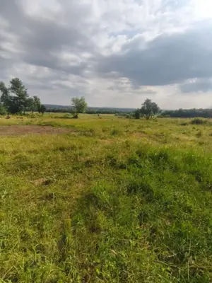 Casa+teren 5000mp, 70ml la DN 2E, zona Cacica, Radauti - imagine 8