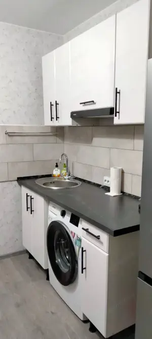 Inchiriere apartament cu o camera in zona Sagului - imagine 2