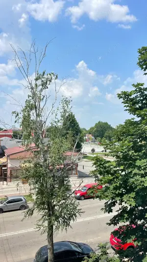 Vand apartament 3 camere, bdul Chimiei, et 2 4 - imagine 11