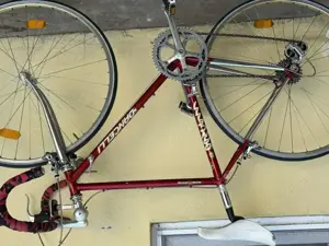 Vand cursiera vintage Dancelli