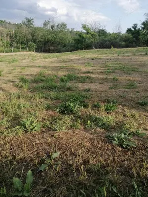 Vând teren intravilan 2877mp - imagine 4 Vând teren intravilan 2877mp - imagine 4