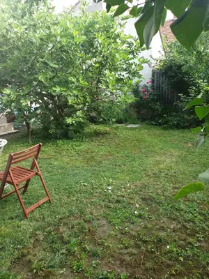 De vanzare casa tip S+P+1 - imagine 4