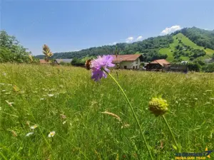 Teren de 1.450 mp, cu priveliste de carte postala, Bran, Moieciu, Brasov - imagine 15