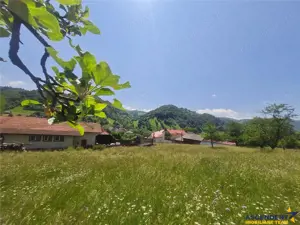 View superb:intravilan,constructie rezidenta hotel, 2.327 mp,Moieciu de Jos, Bran - imagine 16