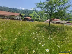 FILM! 1.450 mp intravilan, la DN, incantare peisagistica, Bran, Moieciu, Brasov - imagine 20