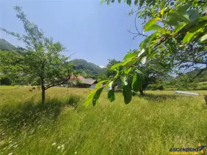 Teren de 1.450 mp, cu priveliste de carte postala, Bran, Moieciu, Brasov - imagine 19