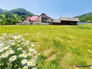 Teren de 1.450 mp, cu priveliste de carte postala, Bran, Moieciu, Brasov - imagine 4