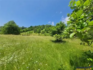 Teren de 1.450 mp, cu priveliste de carte postala, Bran, Moieciu, Brasov - imagine 10