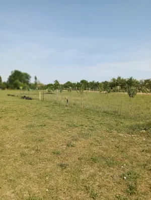 Pamant intravilan - imagine 4