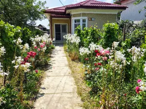 Gospodărie de vânzare Calui jud. Olt