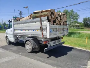 Lemn de foc Fag uscate sau verzi 