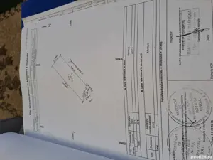 niculaie mihai - imagine 3